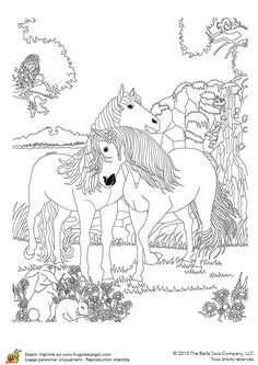 Coloriage Bella Sara Chevaux Hugolescargot