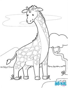 Coloriage d une girafe mignonne  imprimer gratuitement ou colorier en ligne sur hellokids
