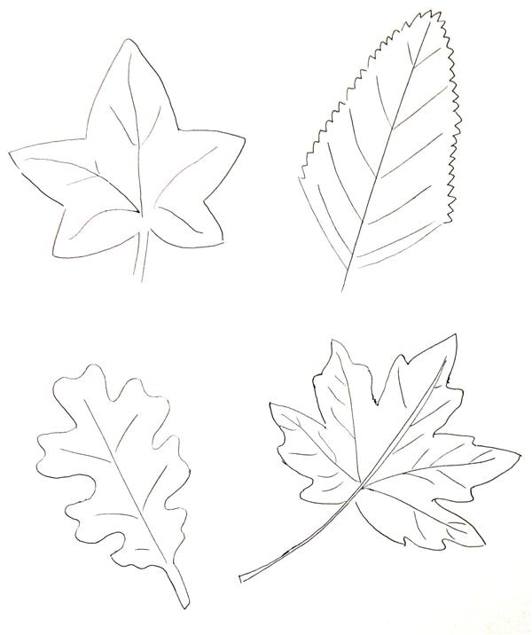 Colorier des feuilles d automne printable   télécharger