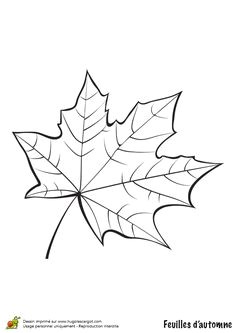 Coloriage dessin feuilles automne platane