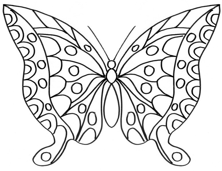 Coloriage papillon Dessin de papillon en couleur