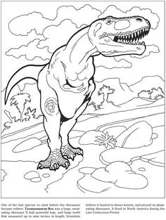 Coloring Book Zone brings you adult coloring books Floral coloring books Message books and therapeutic packages of coloring books