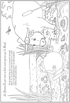 Coloriages des Fables de Lafontaine la grenouille qui veut se faire aussi grosse que le boeuf a imprimer et a colorier