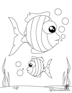Coloriage de deux poissons tropicaux  imprimer gratuitement ou colorier en ligne sur hellokids