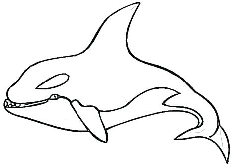 coloriage orque et dauphin 1001 animaux coloriage orque et dauphin coloriage en ligne mandala dauphin