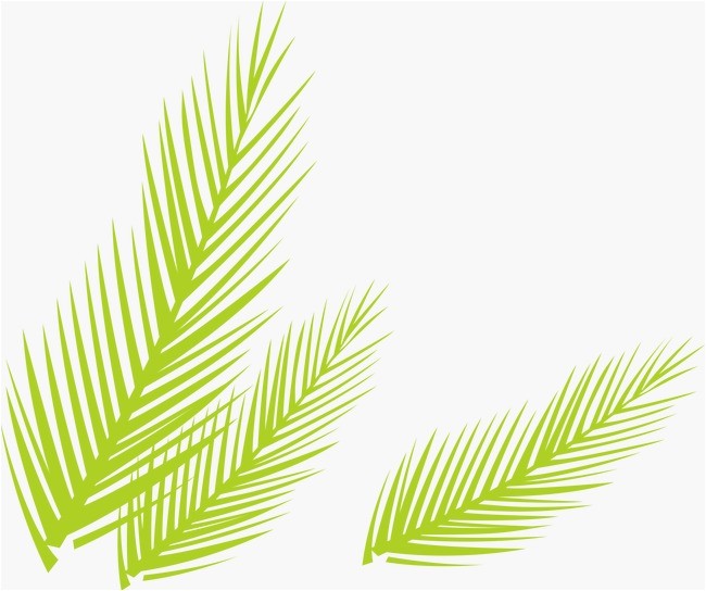 Vert de feuilles de palmier Gratuit PNG et Vecteur