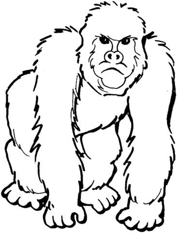 Gorille 2 Coloriage