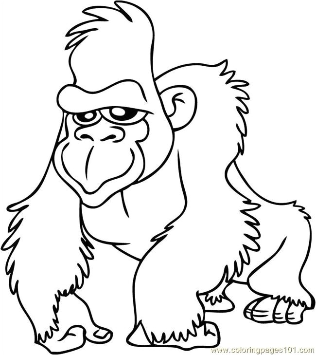 Coloriage Gorille Nos Jeux De Coloriage Gorille   Imprimer Gratuit Beau Coloriage Gorille Coloriage Gorille