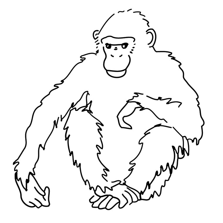 Sélection de coloriage gorille   imprimer sur LaGuerche