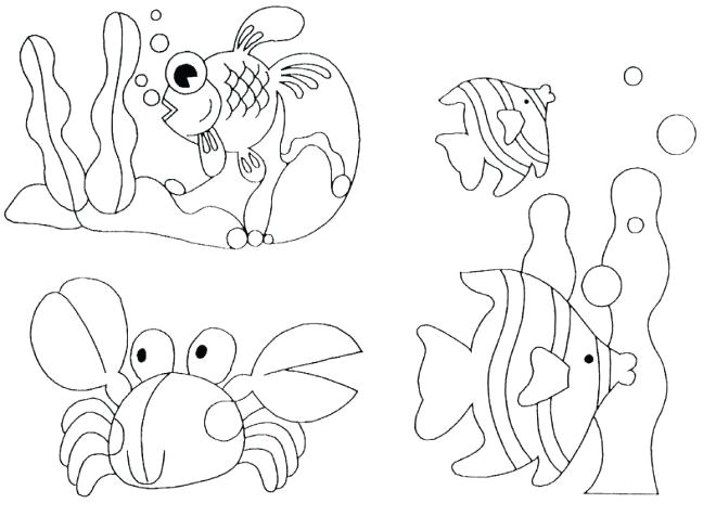 coloriage animaux marins exotiques dessin gratuit a imprimer fond marin colorier autres coloriages