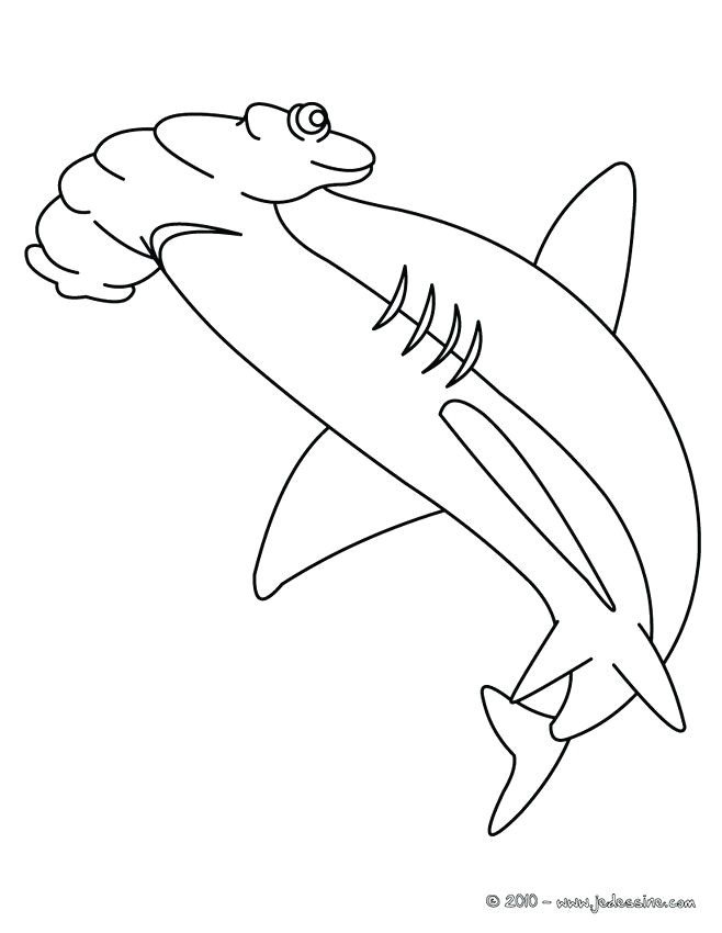dessin requin az coloriage coloriages de requins coloriage dun requin baleine coloriage magique orque
