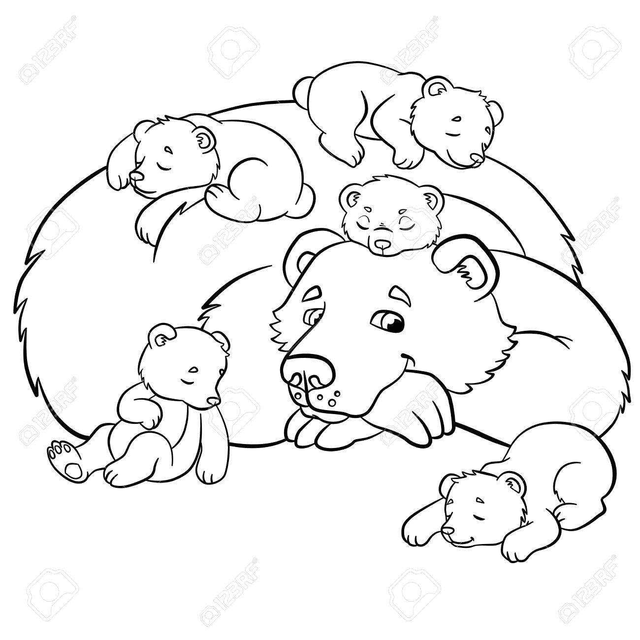 Banque d images Coloriage Animaux sauvages ours Kind regarde petits ours et des sourires de bébé mignon