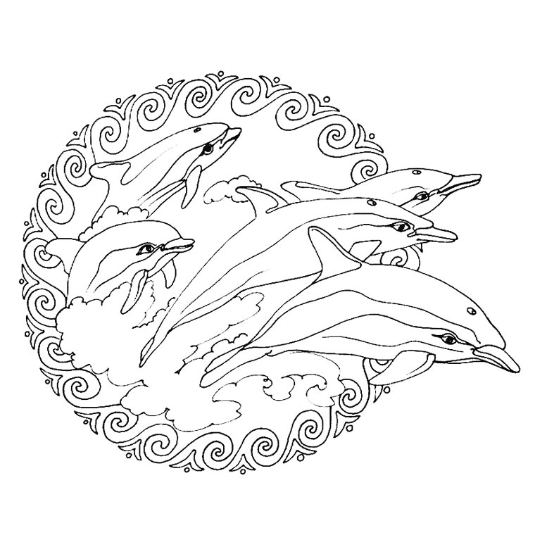 15 dessins de coloriage dauphin mandala imprimer Dessin a imprimer mandala