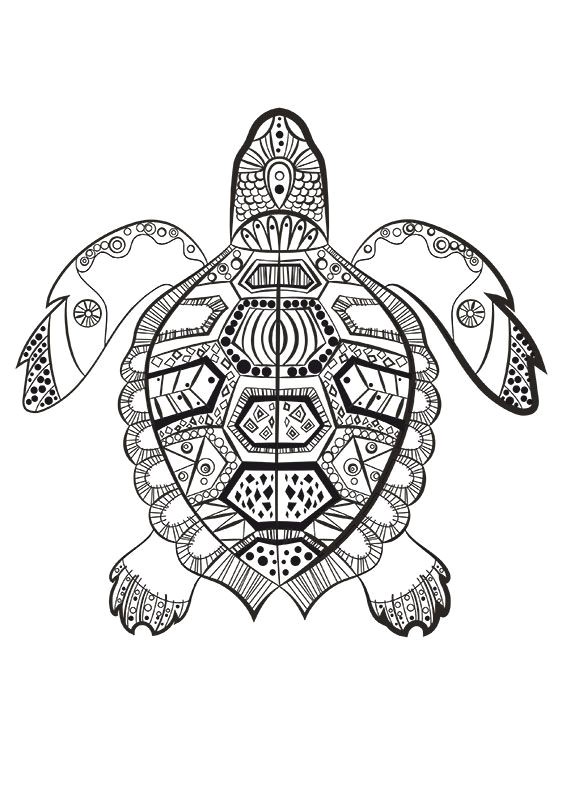 La tortue marine   colorier du dimanche Plus