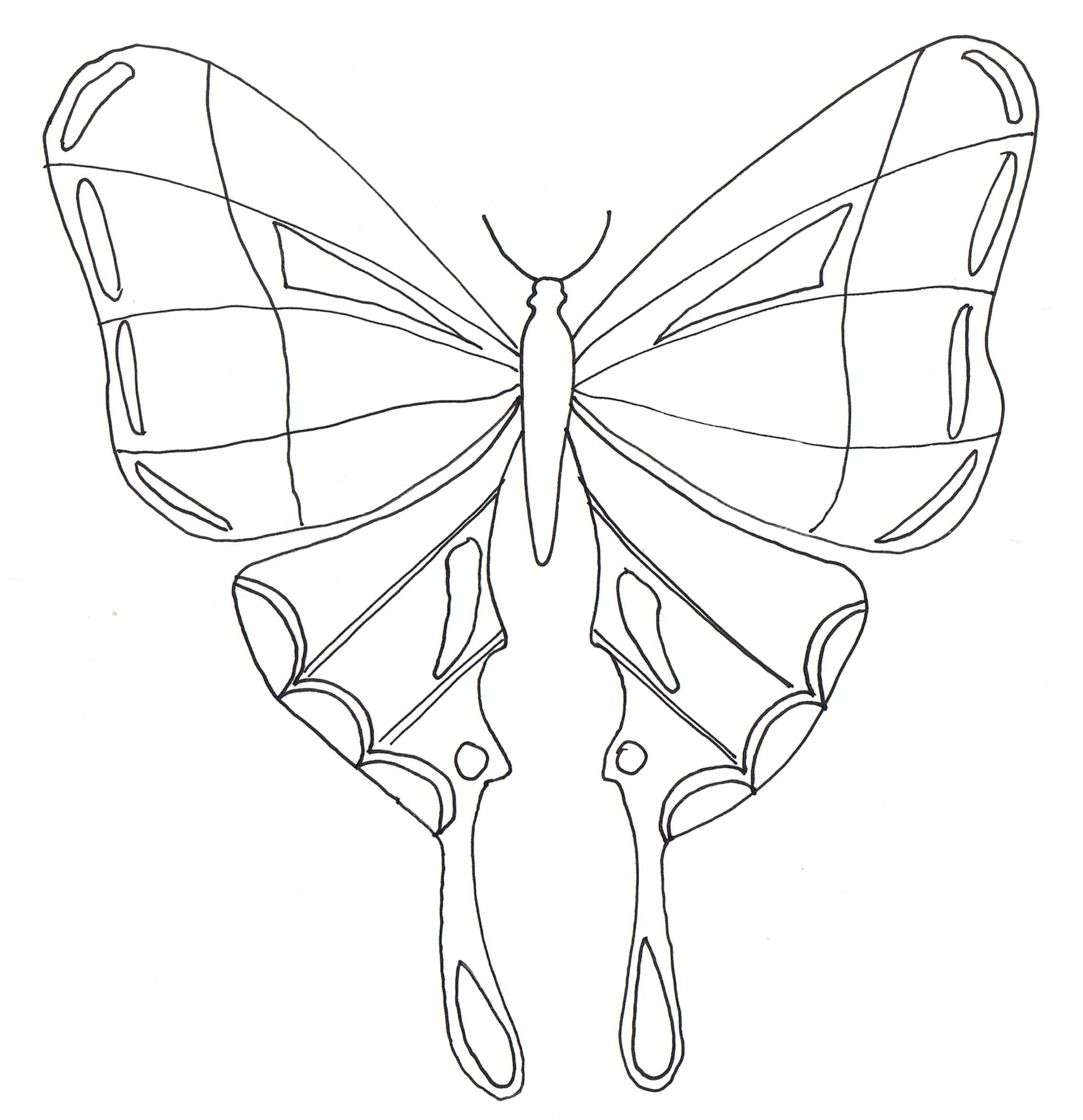110 dessins de coloriage papillon imprimer sur laguerche Dessin de papillon en couleur
