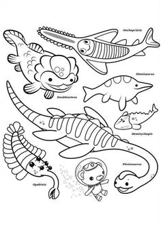 Find this Pin and more on coloriage les octonauts by marjolaine grange