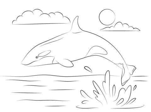 Adorable orque qui saute hors de l eau Coloriage