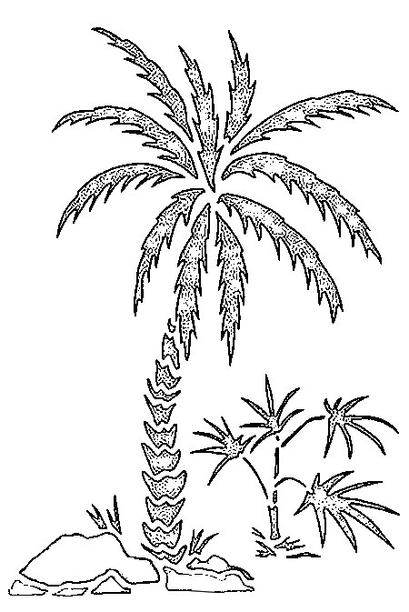 coloriage palmier g