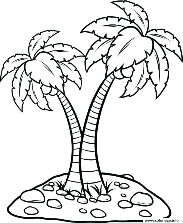 coloriage palmier facile dessin a lintacrieur de imprimer 100 x coloriage palmier facile dessin a lintacrieur coloriage palmier