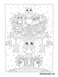 Ornamental Owls – Edwina Mc namee
