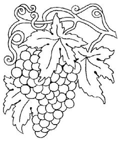 Coloriage Vigne
