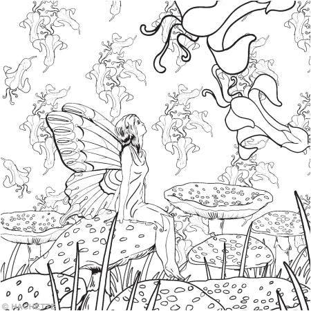 Livre coloriage adulte anti stress Forªts féeriques A4 100 coloriages n°2