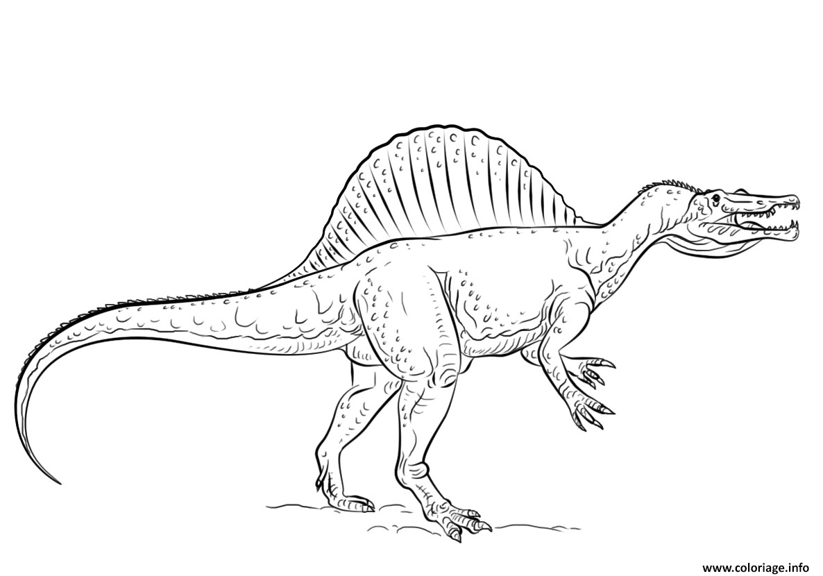 Coloriage Spinosaurus Dessin   Imprimer