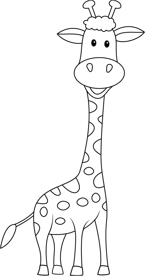548 girafe