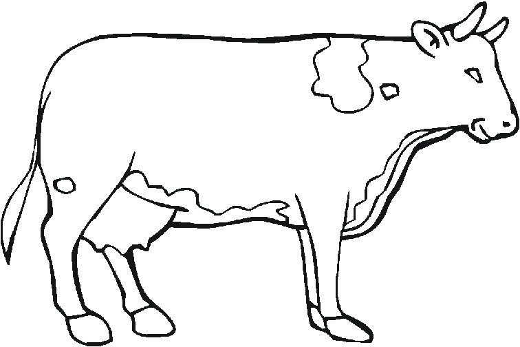 dessin de vache a imprimer gratuit