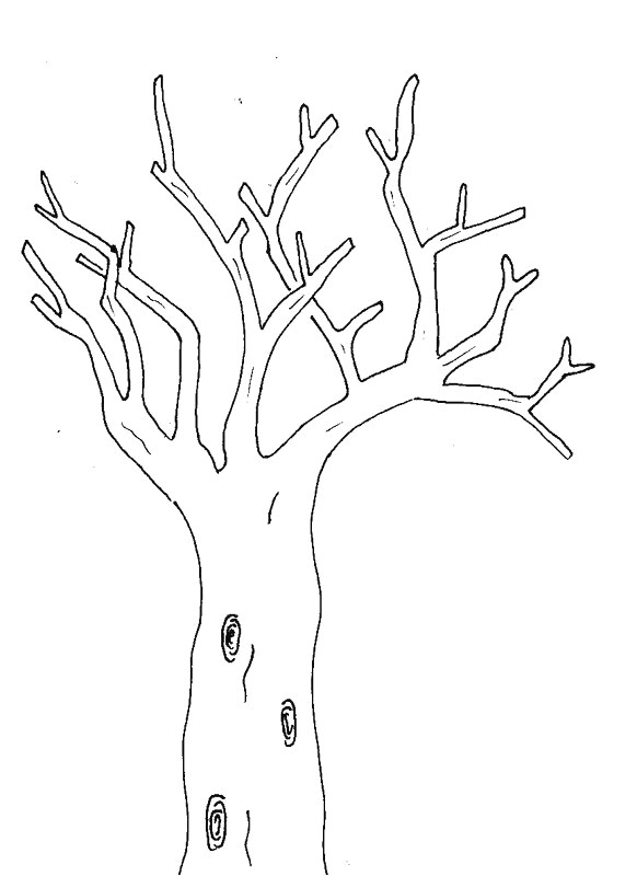 dessin d arbre a imprimer gallery avec et dessin branche d arbre imprimer 0 nature arbres nature arbres dessin de dessin branche d arbre imprimer