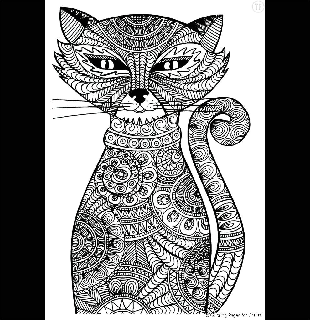 coloriage anti stress a imprimer chat