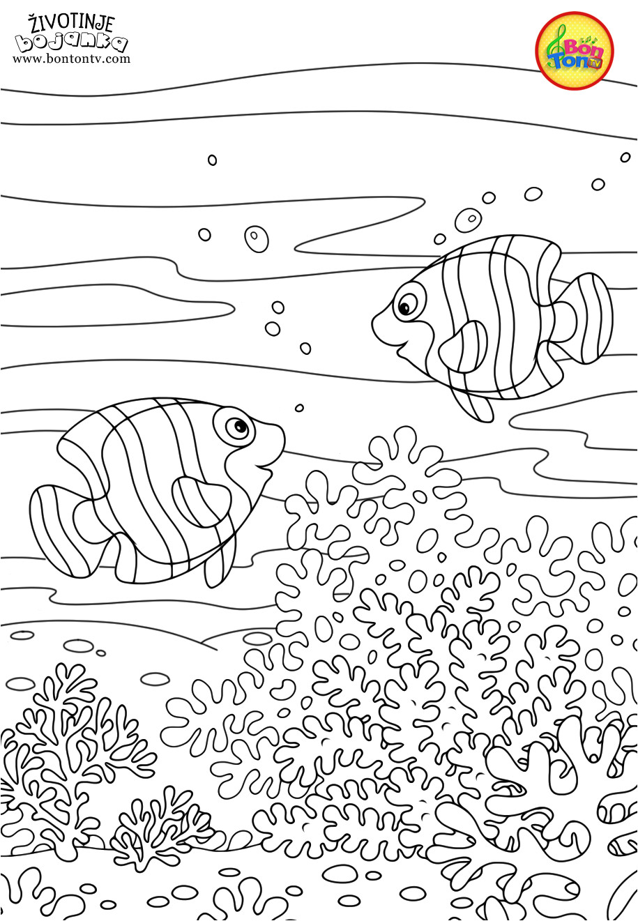 Coloriage D Animaux Pour Enfant Animals Coloring Pages for Kids Free Preschool Printables