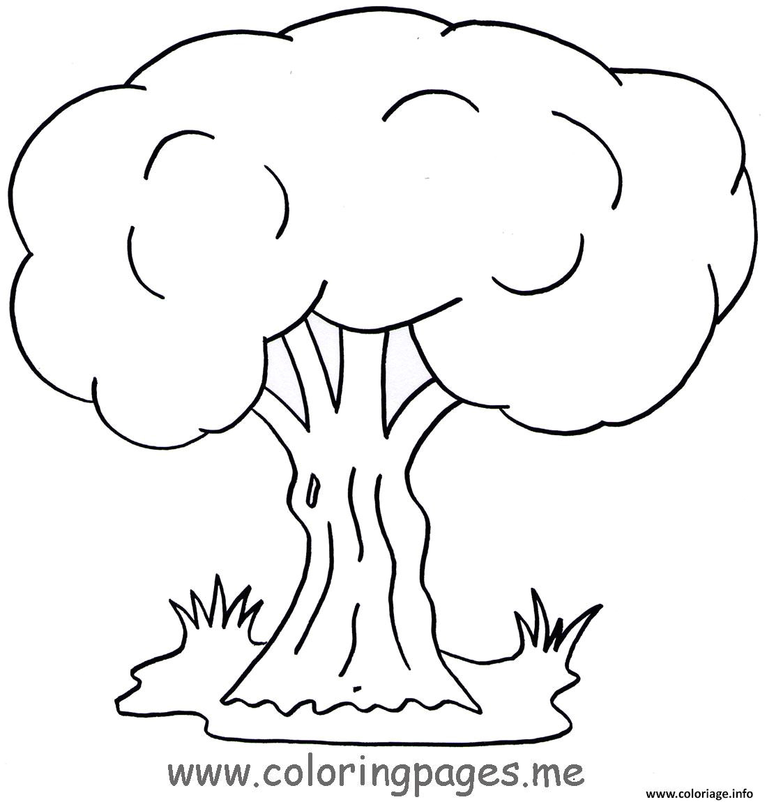 10 coloriage tronc d arbre imprimer