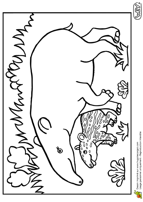 coloriage pour maman dessin colorier d une maman tapir et de son petit hugolescargot 2