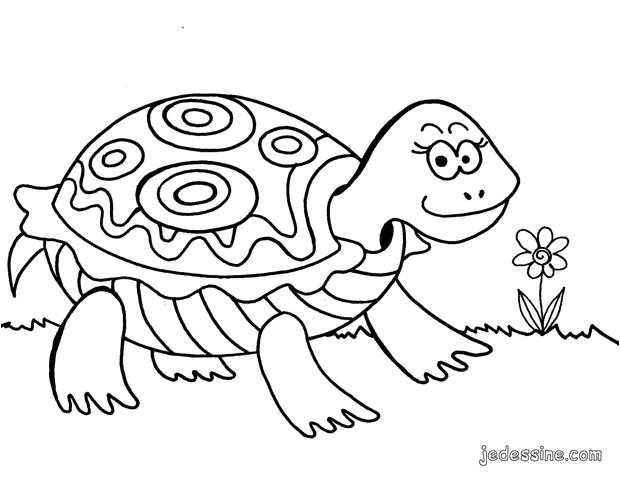 coloriage d une tortue