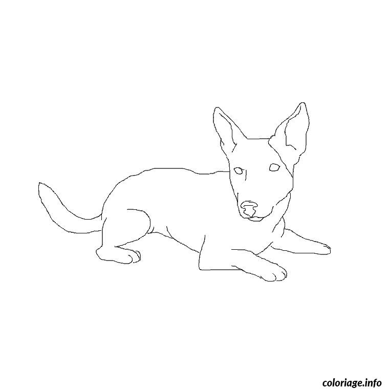 dessin de chien jack russel