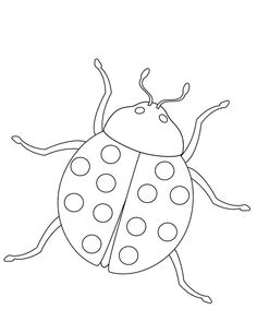 5af44b0932c0c0cd525e2b08bbfe3a74 bug insect free printable coloring pages