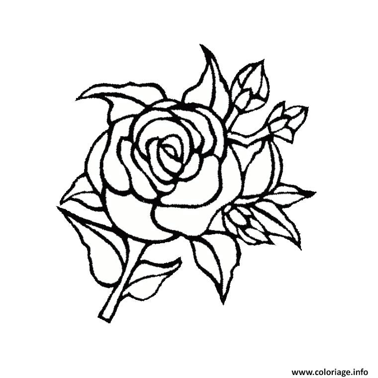 rose fleur coloriage