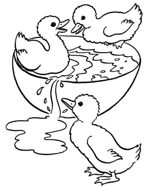 Coloriage De La Ferme A Imprimer Gratuit Dessin   Colorier Animaux De La Ferme Animaux 12