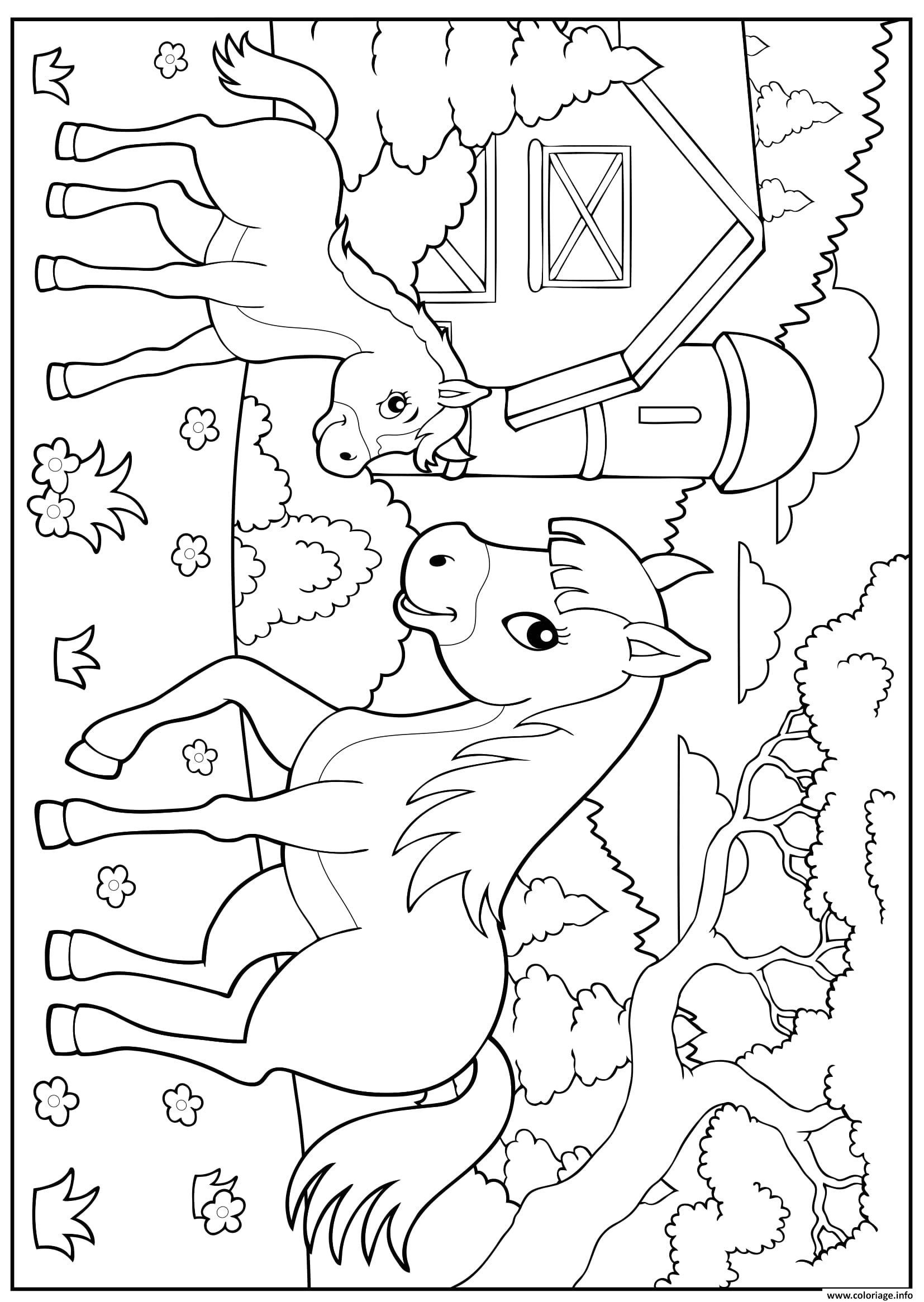 la ferme cheval poney enfant maternelle coloriage dessin
