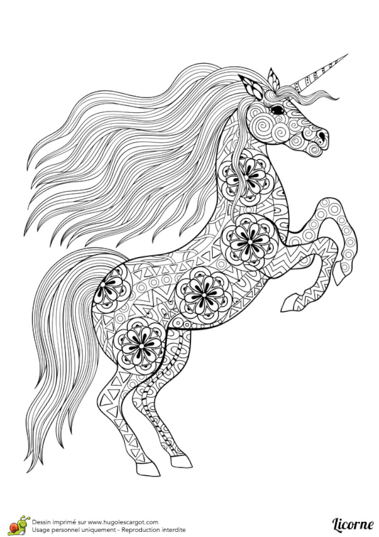 coloriage licornes imprimer sur hugolescargot avec dessin a colorier kawaii licorne idees et avec 750x1061px