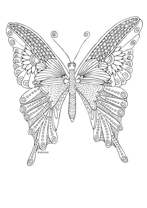 Coloriage De Papillon Gratuit épinglé Par Jean Sur Nature