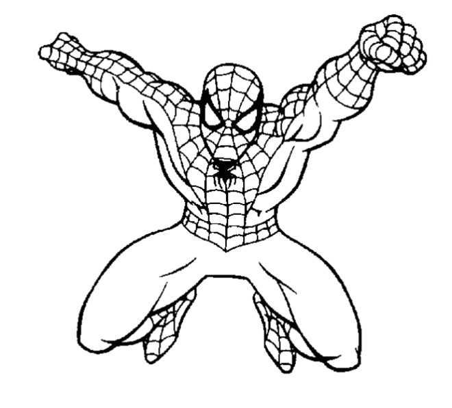 spiderman facile 9051
