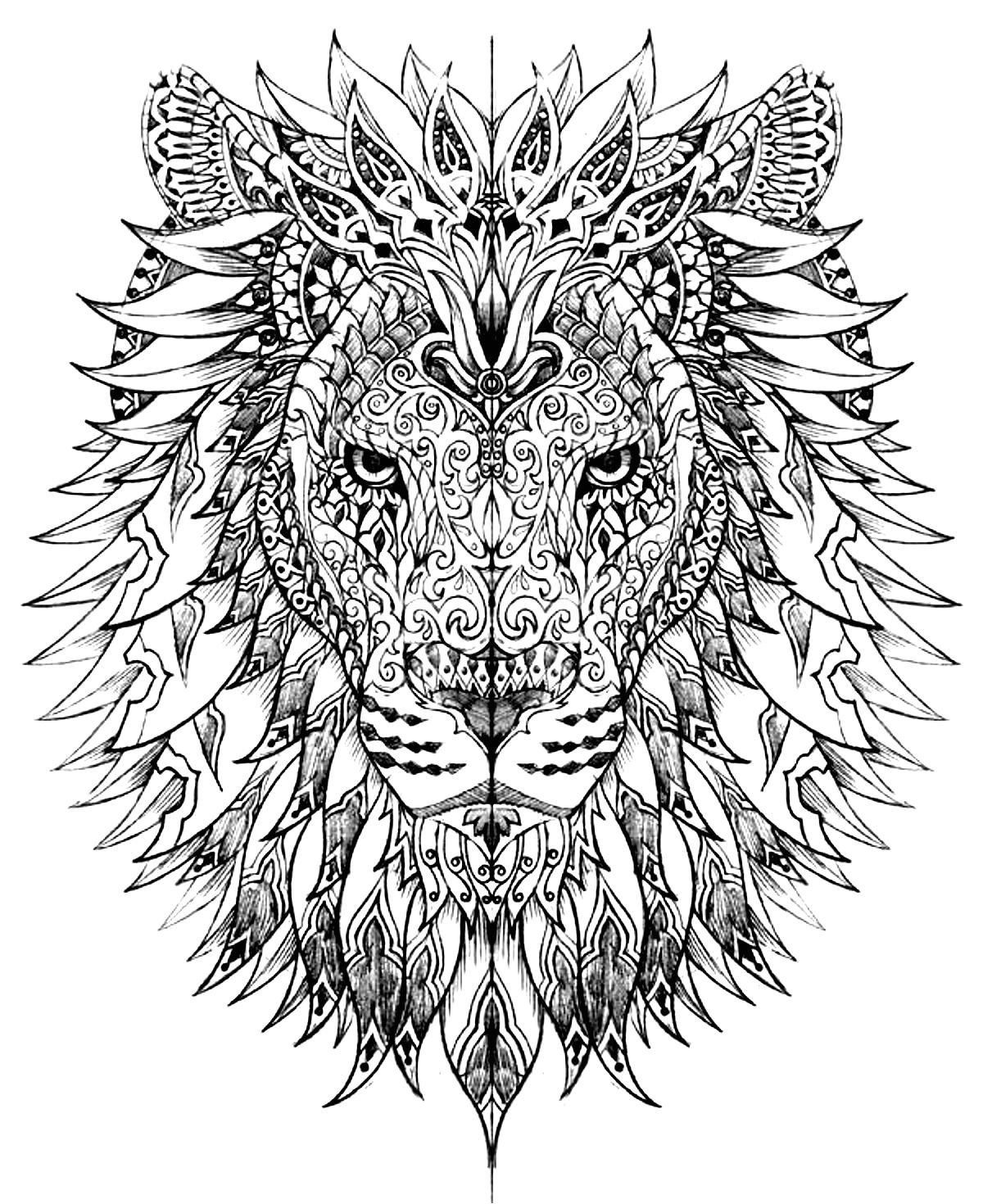 image=animaux coloriage adulte difficile tete lion 1