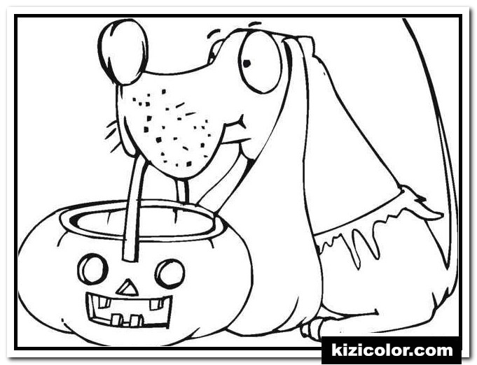 dog holds pumpkin basket halloween 1
