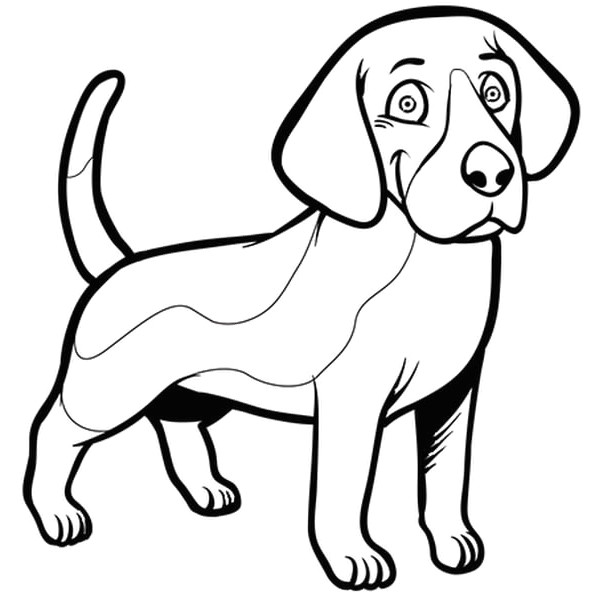 coloriage chien mignon luxe photographie chien beagle coloriage chien beagle en ligne gratuit a de coloriage chien mignon