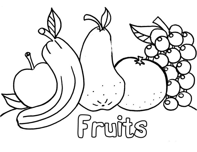 fruits stylises