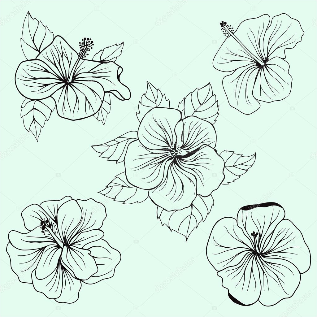 stock illustration set of hawaii hibiscus flowers
