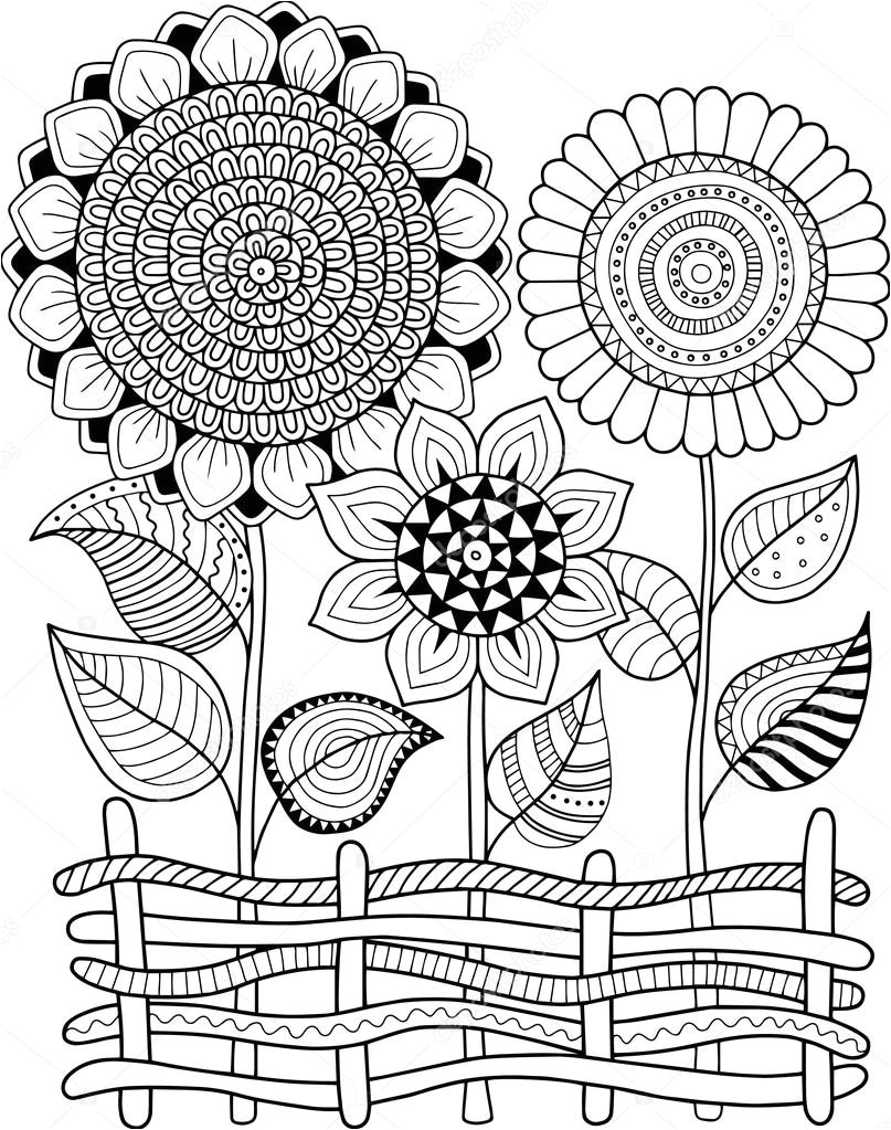 stock illustration vector doodle sunflowers coloring book