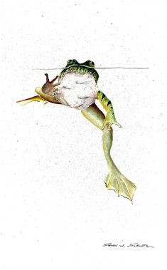 881caba05ffaf98b0c6aa2dd6536d926 frog illustration watercolor animals